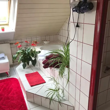 Апартаменты Krause Oben Steinthaleben